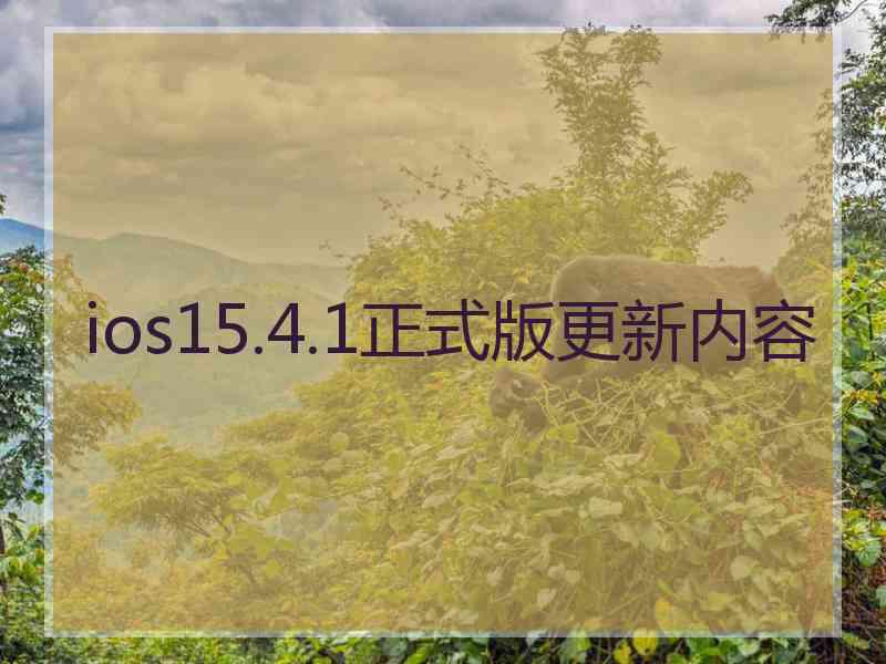 ios15.4.1正式版更新内容