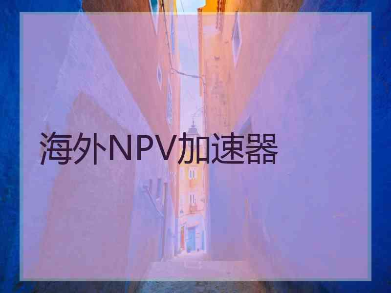 海外NPV加速器