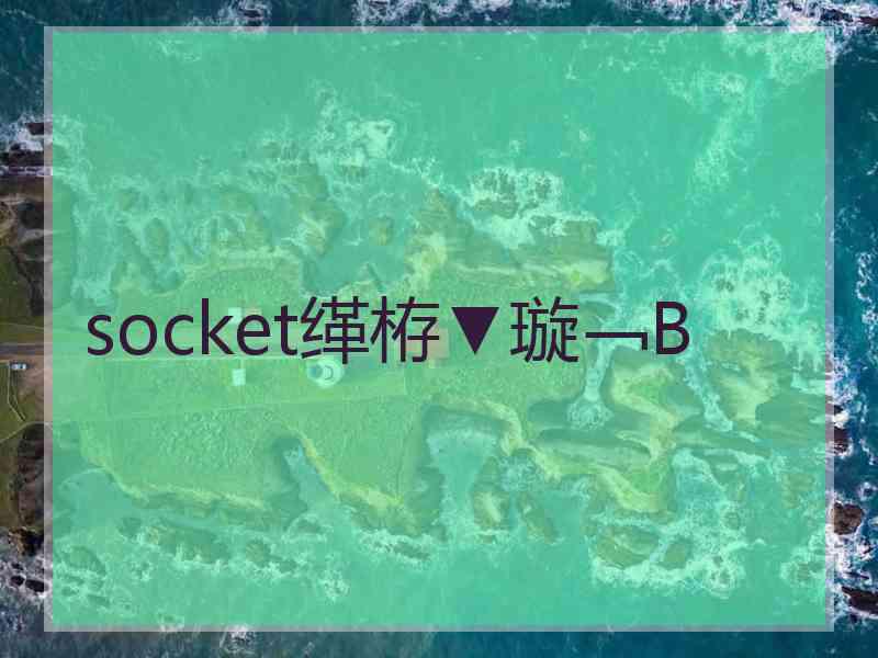 socket缂栫▼璇﹁В