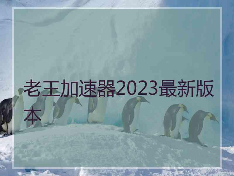 老王加速器2023最新版本