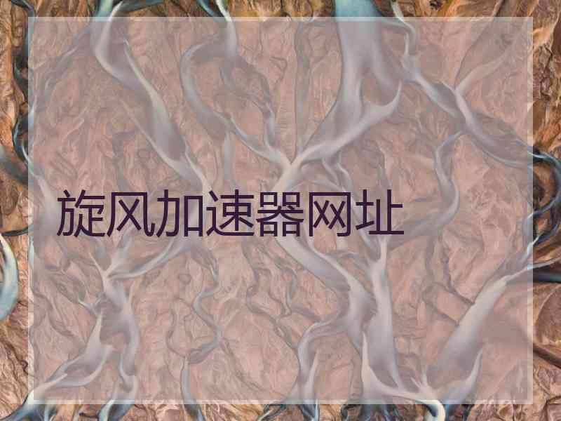 旋风加速器网址