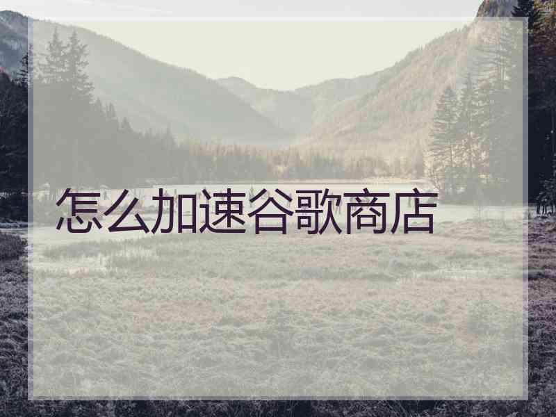 怎么加速谷歌商店