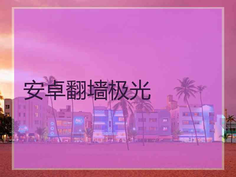 安卓翻墙极光