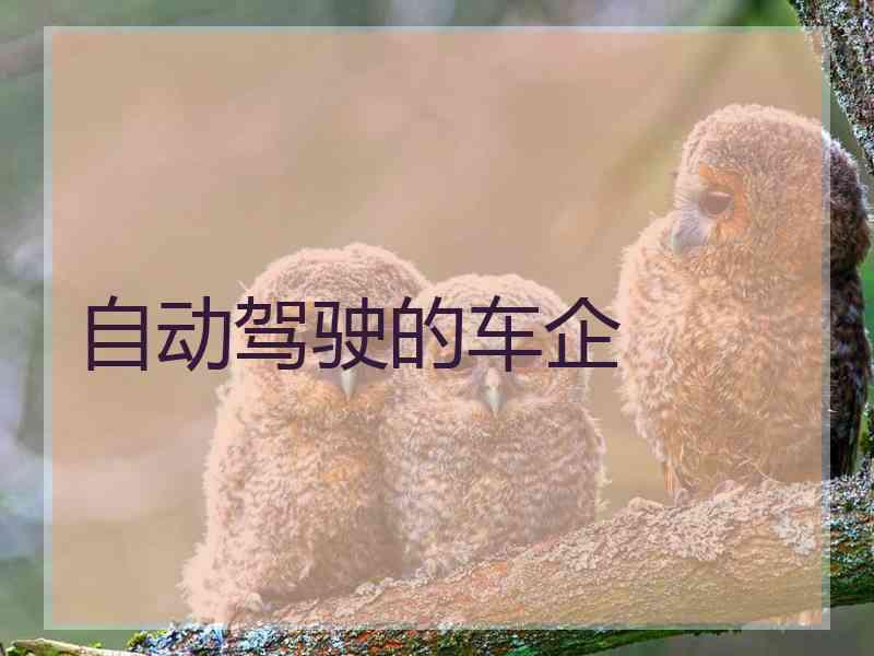 自动驾驶的车企