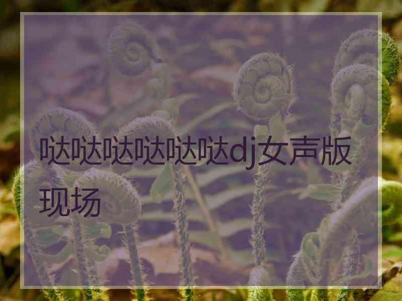 哒哒哒哒哒哒dj女声版现场
