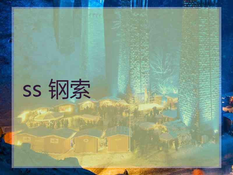 ss 钢索
