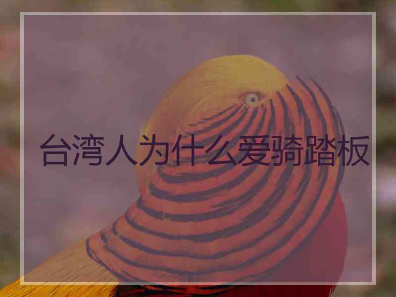 台湾人为什么爱骑踏板
