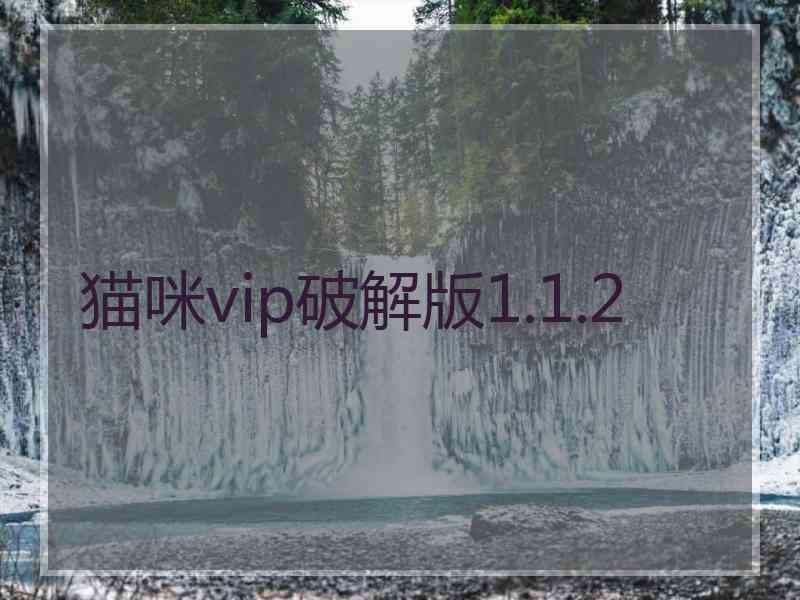 猫咪vip破解版1.1.2