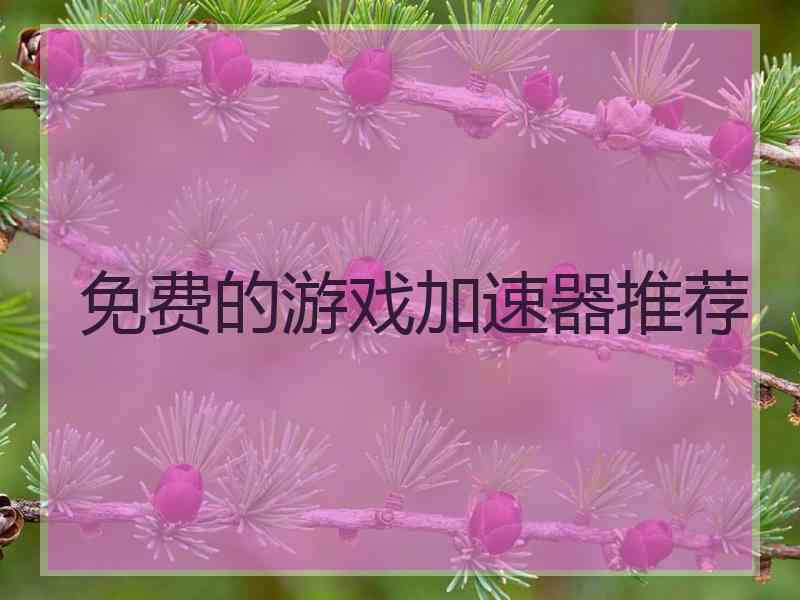 免费的游戏加速器推荐