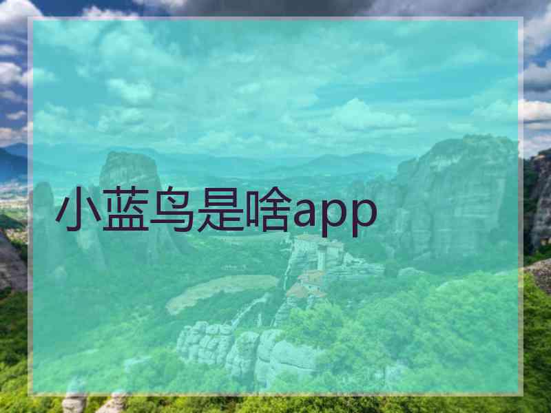 小蓝鸟是啥app