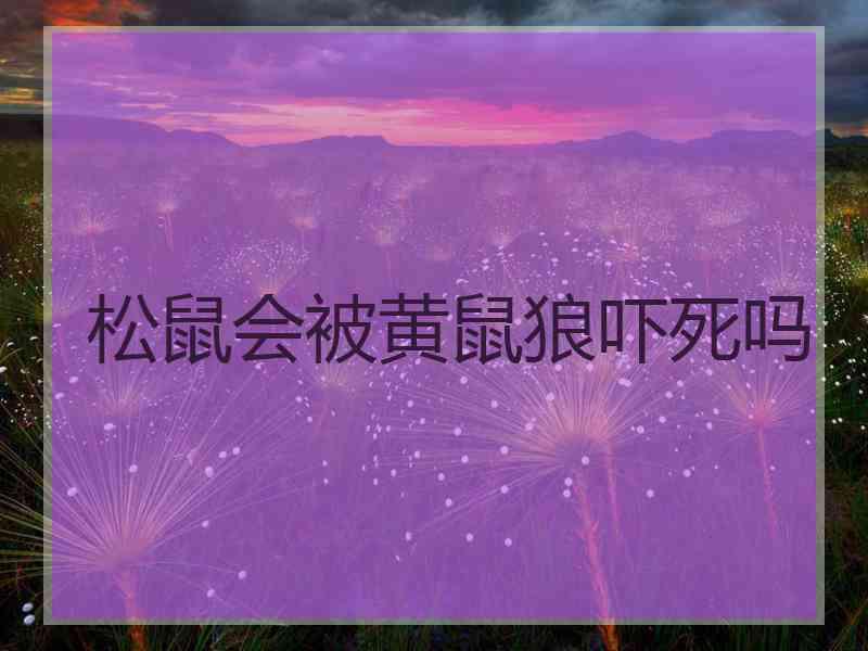 松鼠会被黄鼠狼吓死吗
