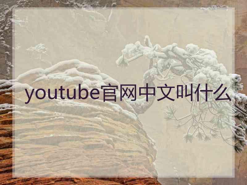 youtube官网中文叫什么