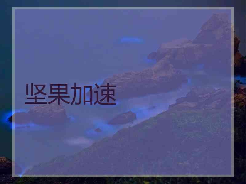 坚果加速