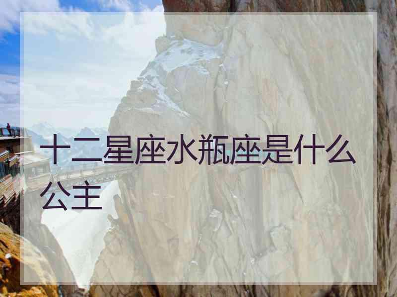 十二星座水瓶座是什么公主