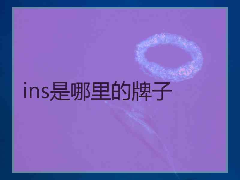 ins是哪里的牌子