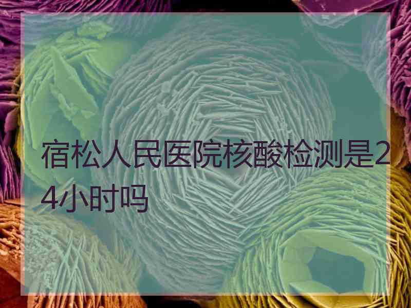 宿松人民医院核酸检测是24小时吗