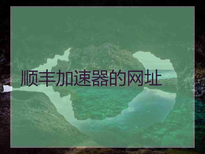顺丰加速器的网址