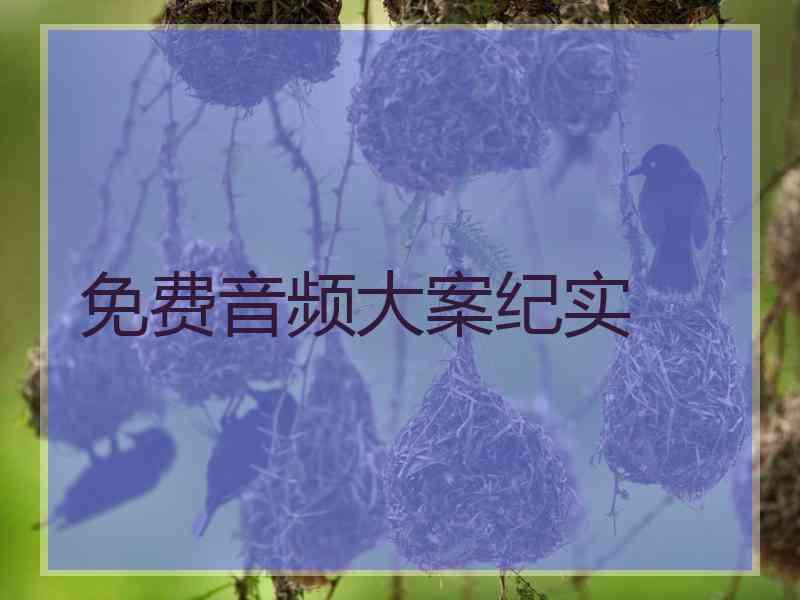 免费音频大案纪实