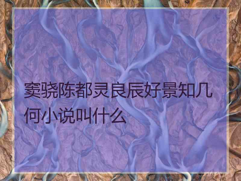 窦骁陈都灵良辰好景知几何小说叫什么