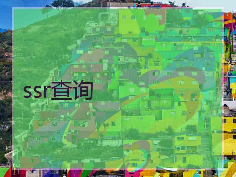 ssr查询