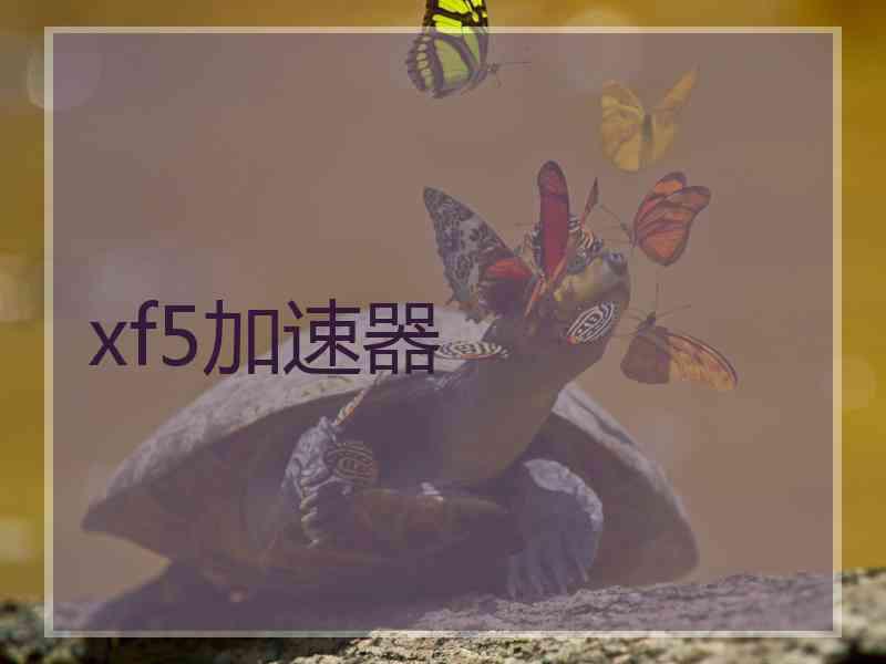 xf5加速器