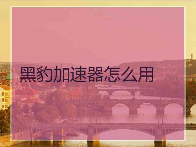 黑豹加速器怎么用