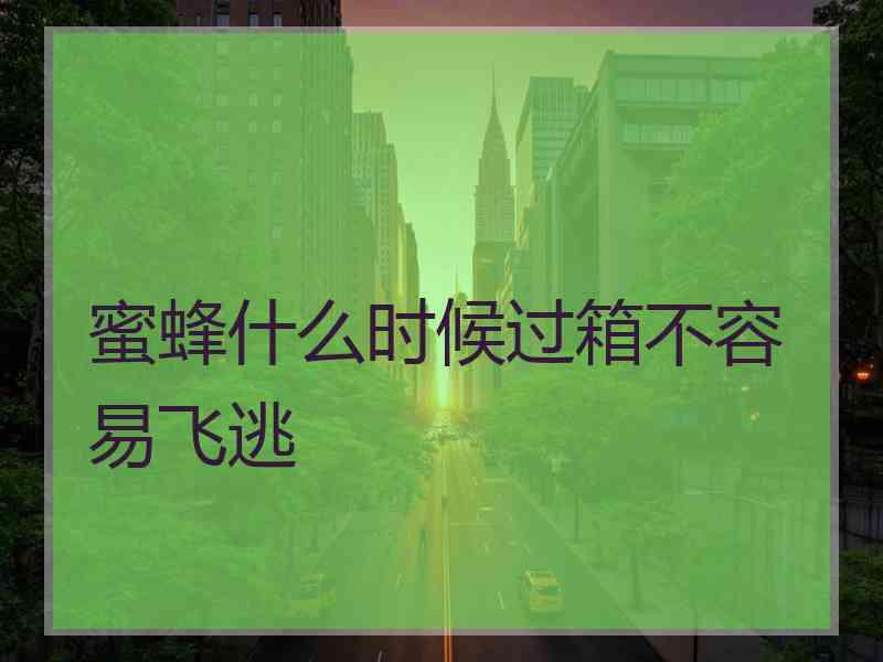 蜜蜂什么时候过箱不容易飞逃
