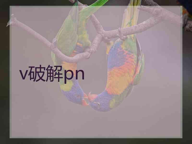 v破解pn