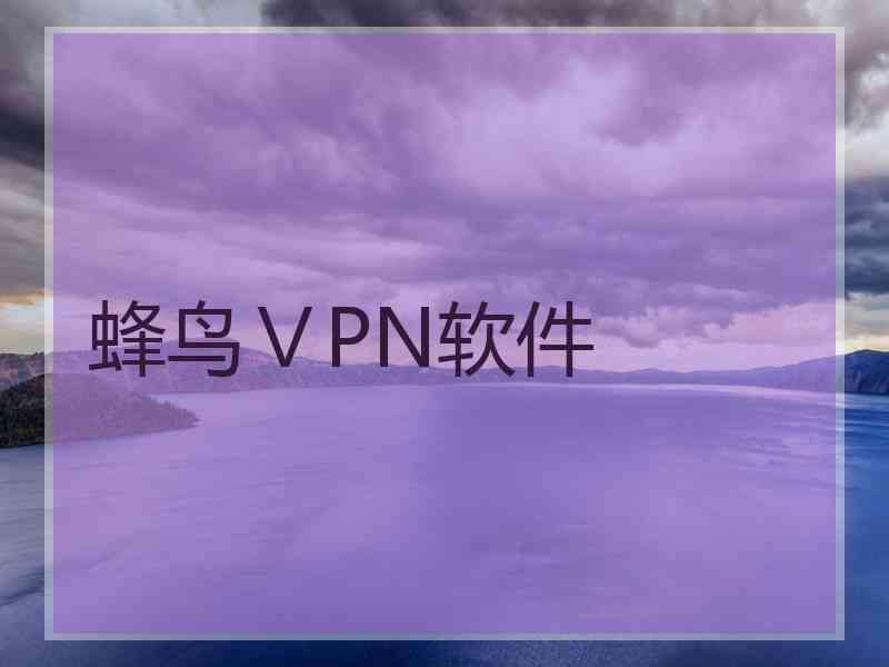 蜂鸟ⅤPN软件