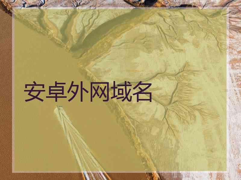 安卓外网域名
