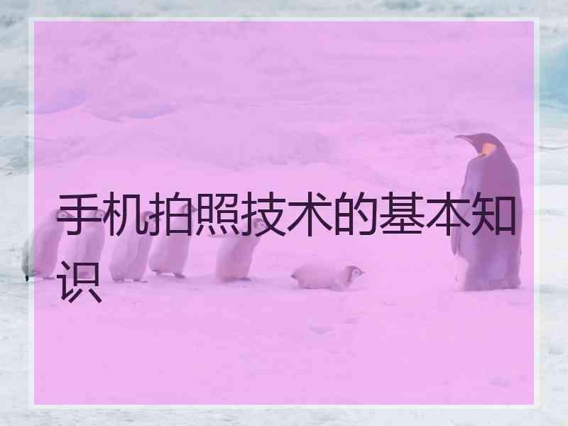 手机拍照技术的基本知识