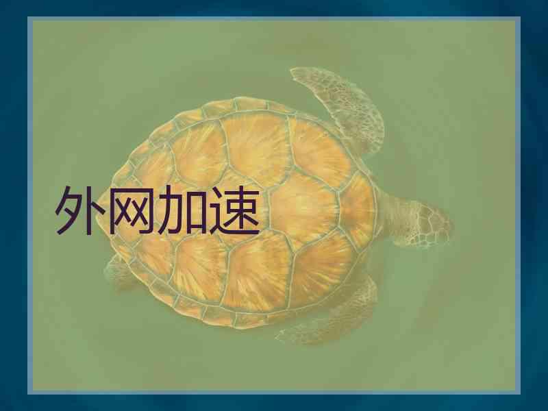 外网加速