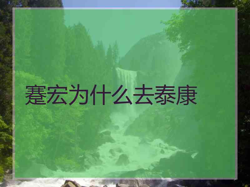 蹇宏为什么去泰康