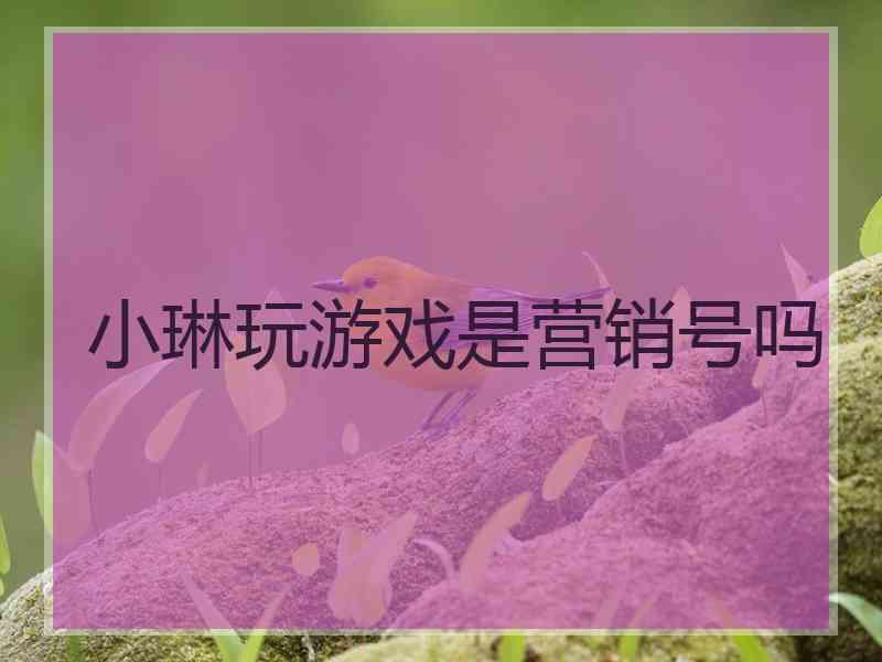 小琳玩游戏是营销号吗