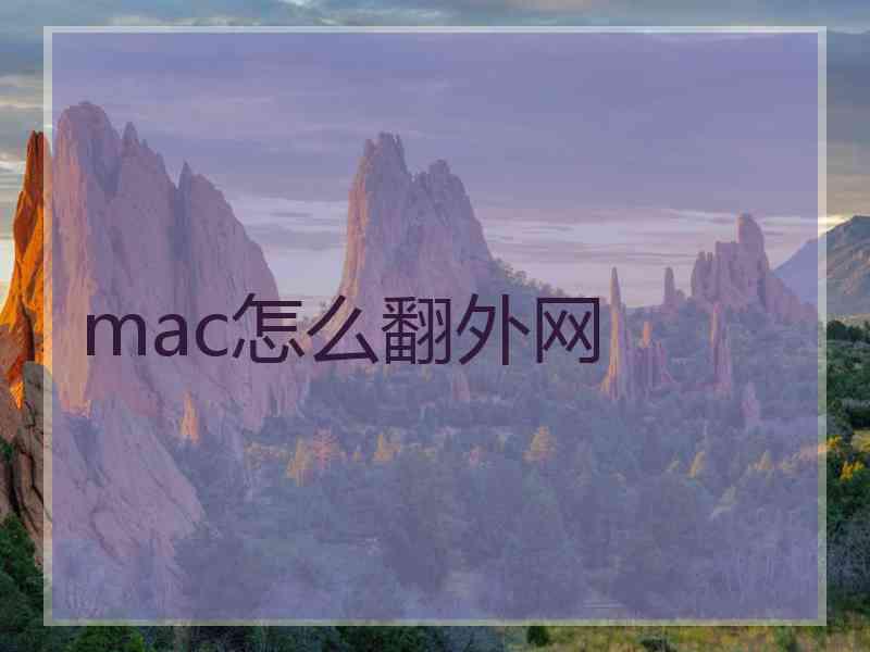mac怎么翻外网