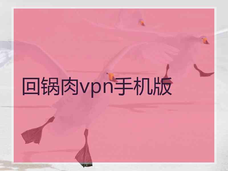 回锅肉vpn手机版