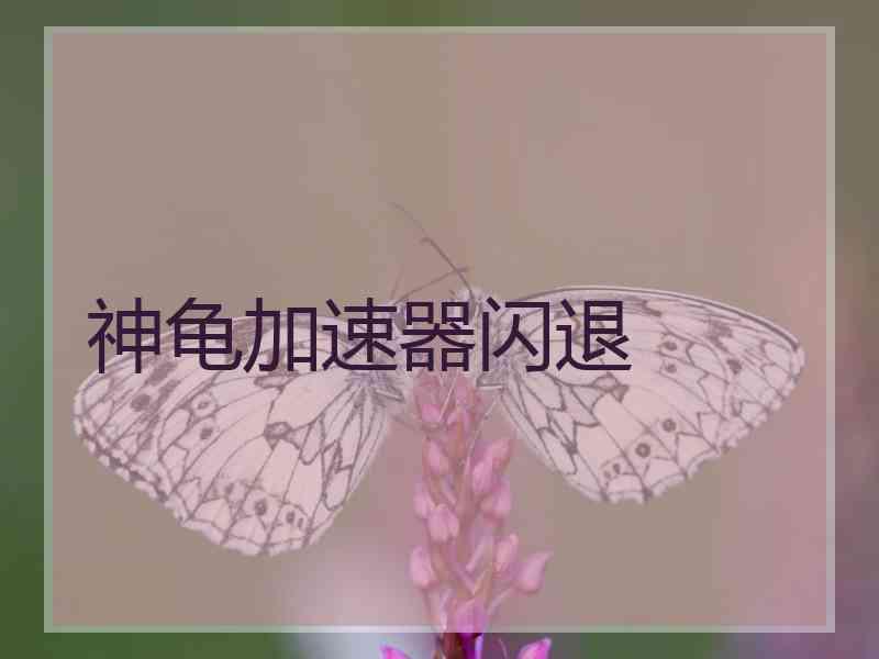 神龟加速器闪退