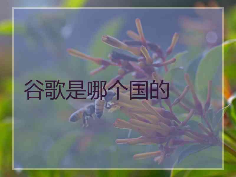 谷歌是哪个国的