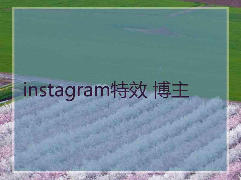 instagram特效 博主