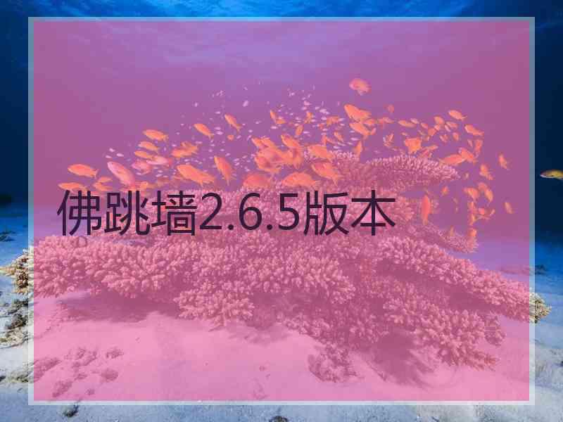 佛跳墙2.6.5版本