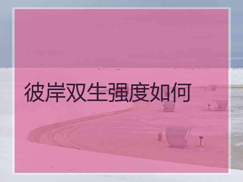 彼岸双生强度如何