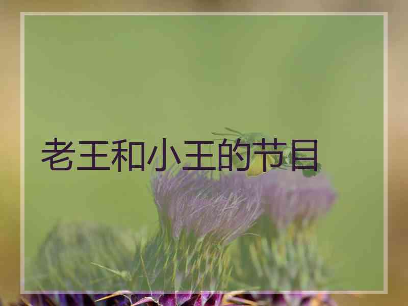老王和小王的节目