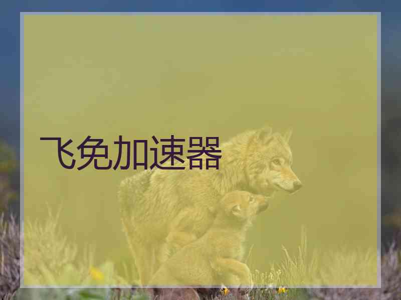 飞免加速器