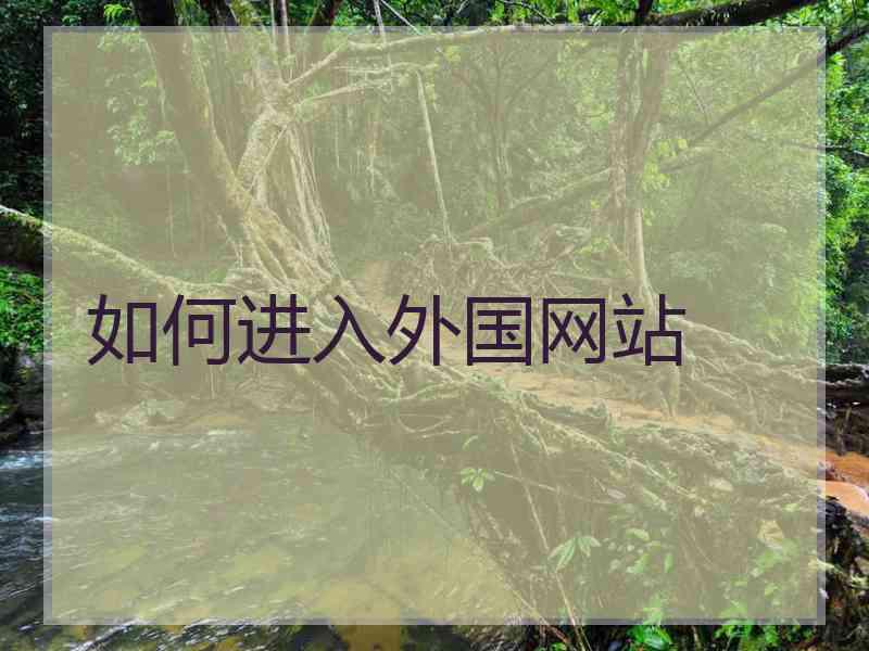 如何进入外国网站