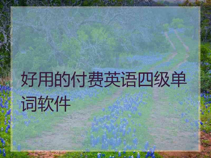 好用的付费英语四级单词软件