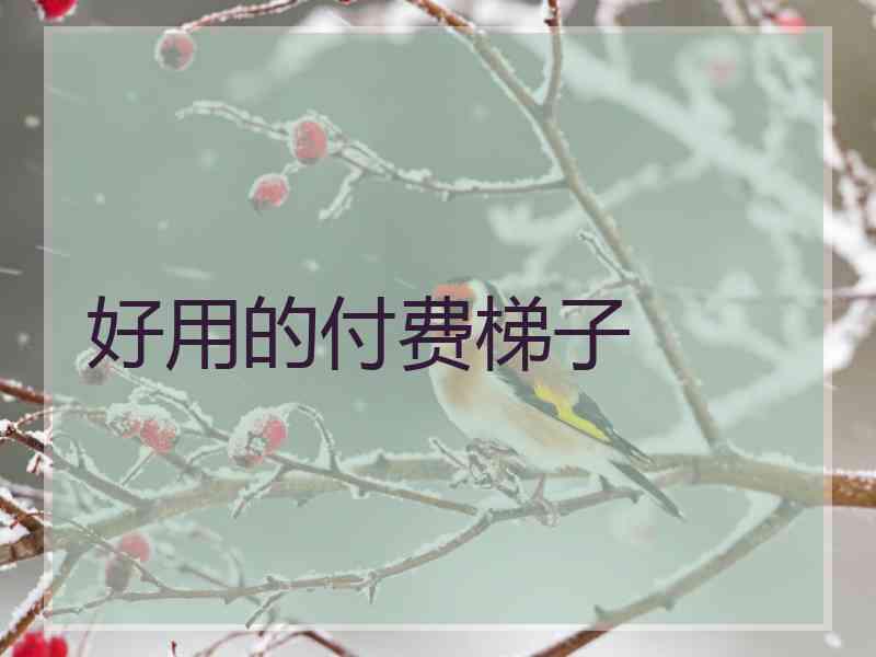 好用的付费梯子