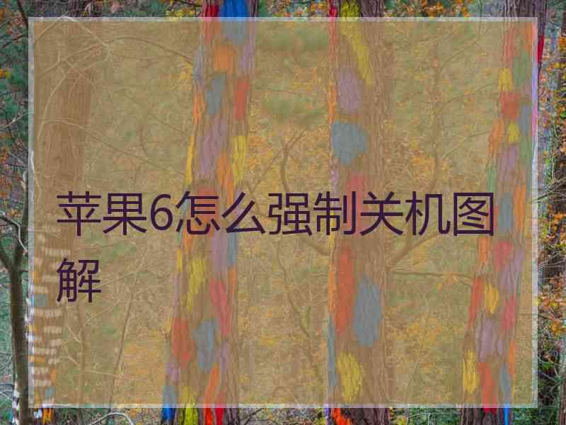 苹果6怎么强制关机图解