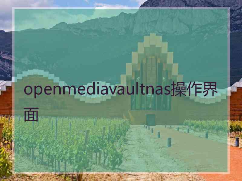 openmediavaultnas操作界面