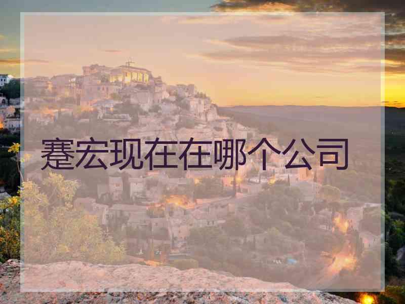 蹇宏现在在哪个公司