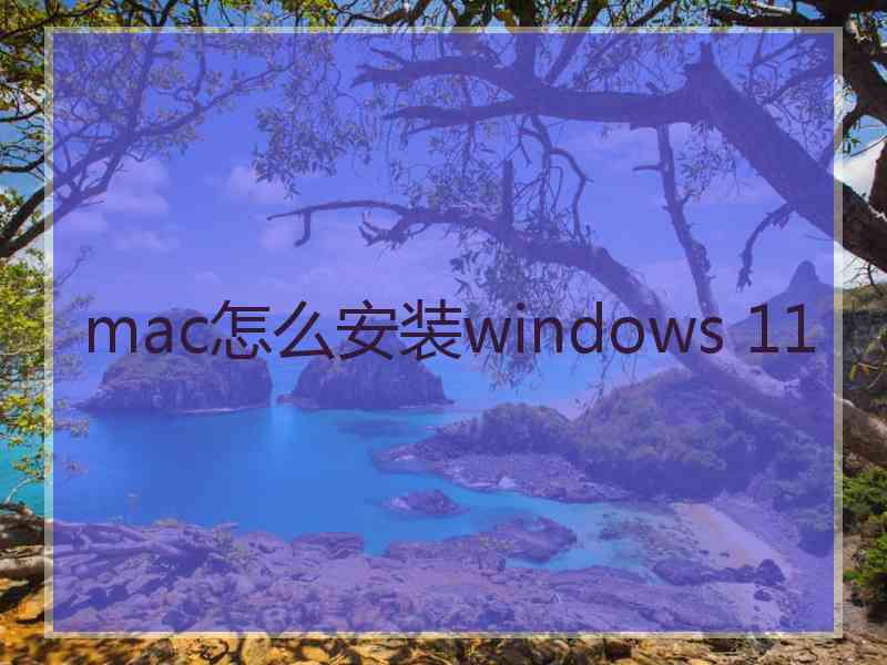 mac怎么安装windows 11